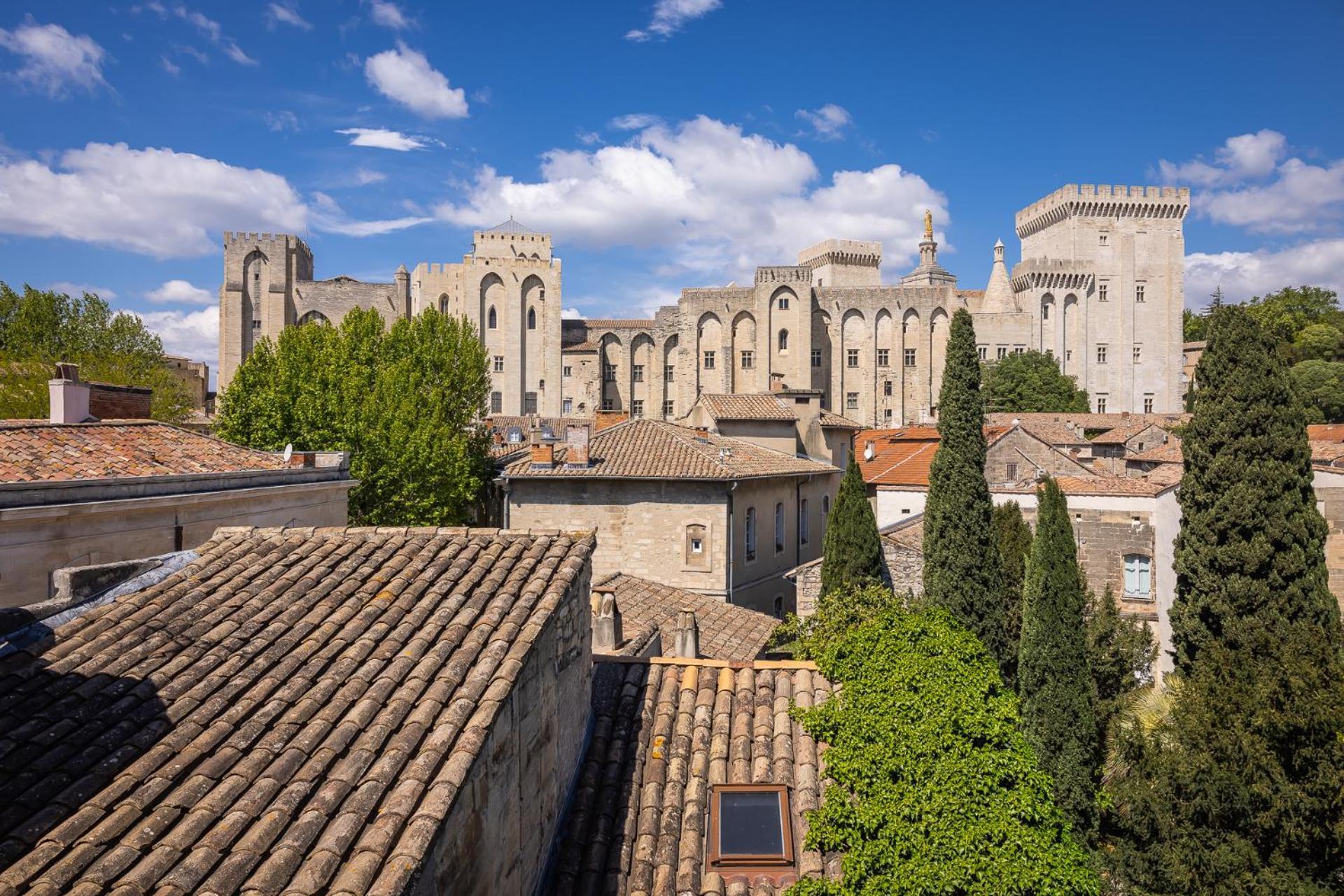 Avignon Intra-Muros, Vue Palais Des Papes Luaran gambar